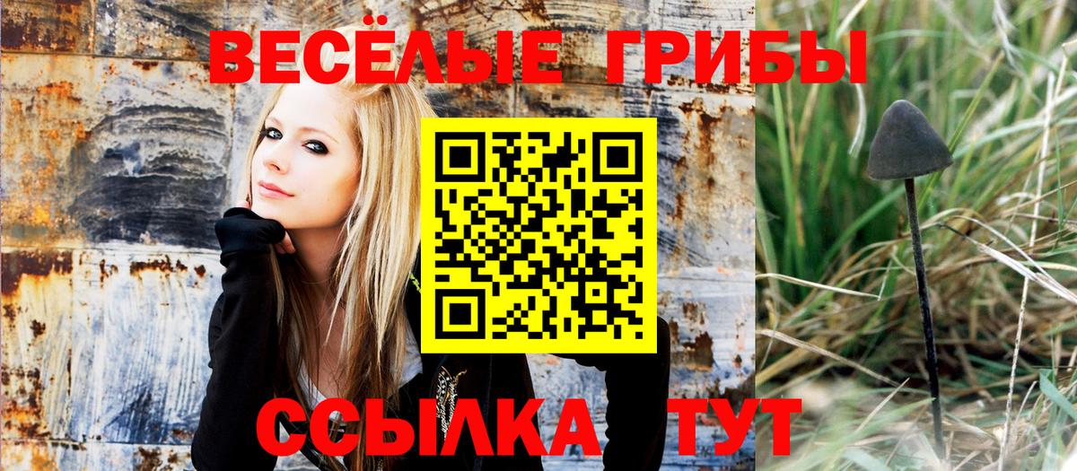 Галлюциногенные грибы прущие грибы Рузаевка